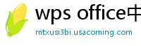 wps office中文版